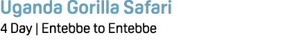 Uganda Gorilla Safari 4 Day | Entebbe to Entebbe