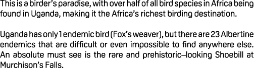 This is a birder’s paradise, with over half of all bird species in Africa being found in Uganda, making it the Africa...