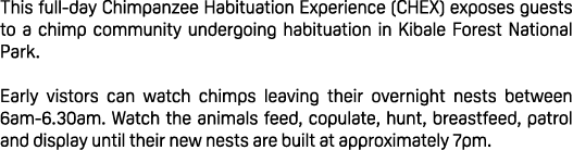 This full day Chimpanzee Habituation Experience (CHEX) exposes guests to a chimp community undergoing habituation in ...