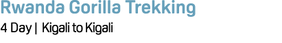 Rwanda Gorilla Trekking 4 Day | Kigali to Kigali