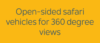 Open sided safari vehicles for 360 degree views 
