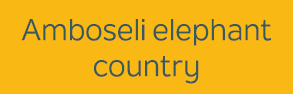 Amboseli elephant country