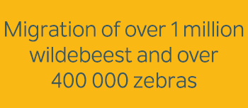 Migration of over 1 million wildebeest and over 400 000 zebras