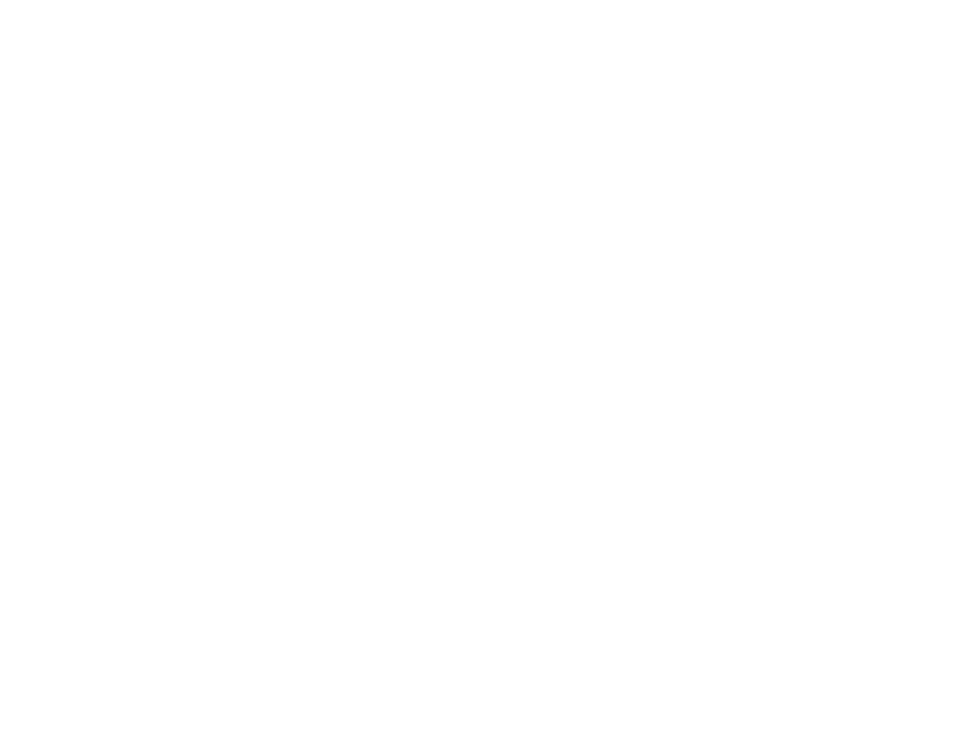 All international / domestic flights and taxes Visas Travel and personal accident insurance Personal expenses Excursi...