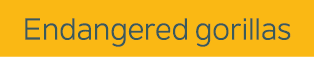 Endangered gorillas
