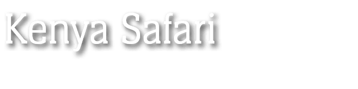 Kenya Safari 