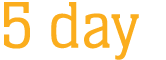 5 day
