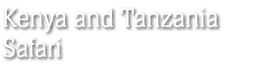 Kenya and Tanzania Safari