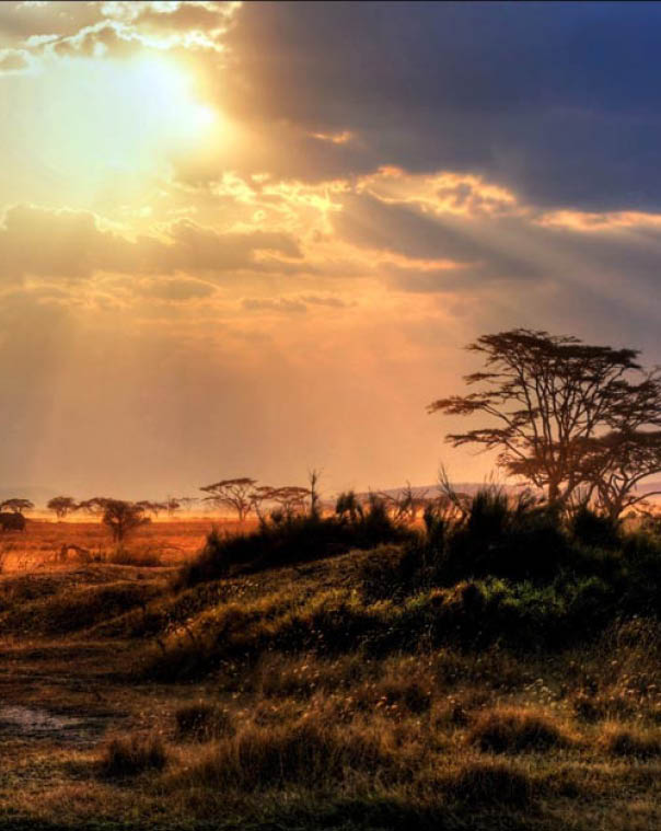 gorgeous sunset with sunbeams at a national park in Africa 