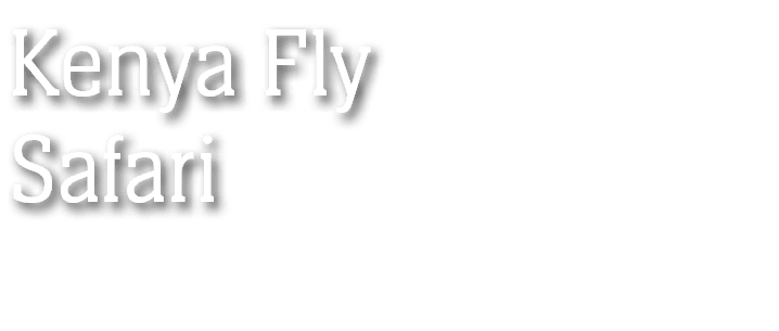 Kenya Fly Safari