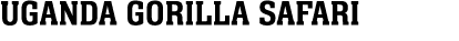 UGANDA GORILLA SAFARI 