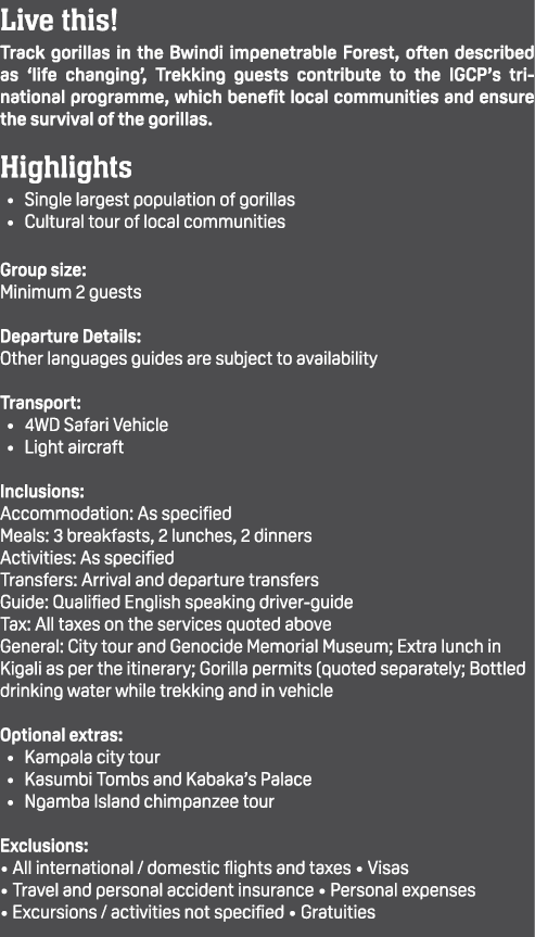 Live this! Track gorillas in the Bwindi impenetrable Forest, often described as ‘life changing’, Trekking guests cont...