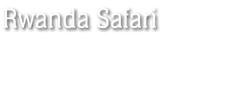 Rwanda Safari