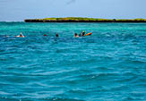 snorkelers in indian ocean near wasini island
