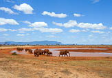 Elephant in water. National park of Kenya, Africa