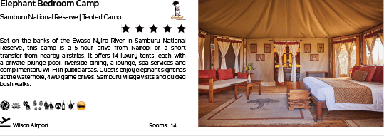 A tent with a bed and a cat. Description generated by AI