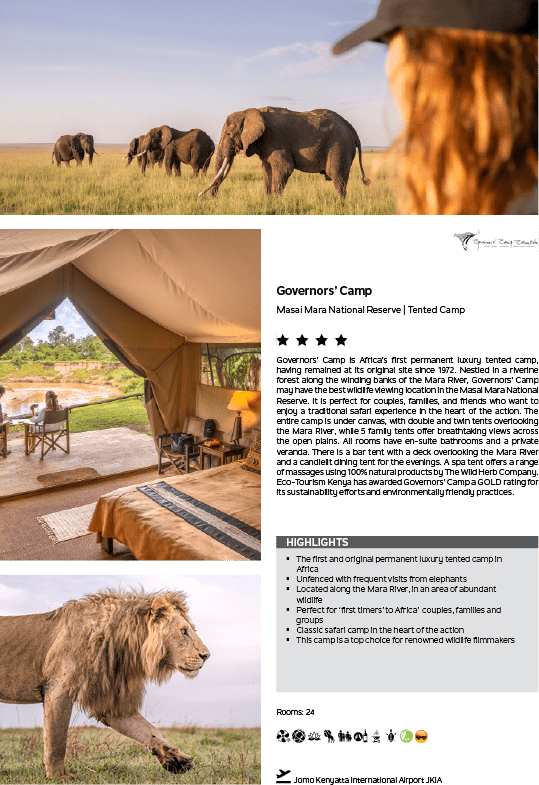 A lion walking in a field. Description generated by AI