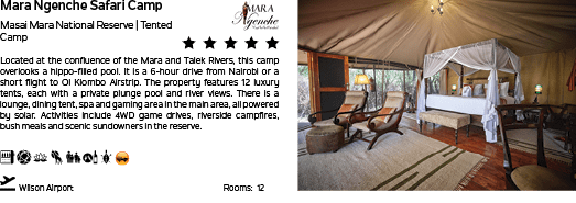A tent with a canopy and a bed inside. Description generated by AI