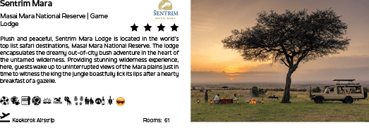 A tree in front of a sunset. Description generated by AI