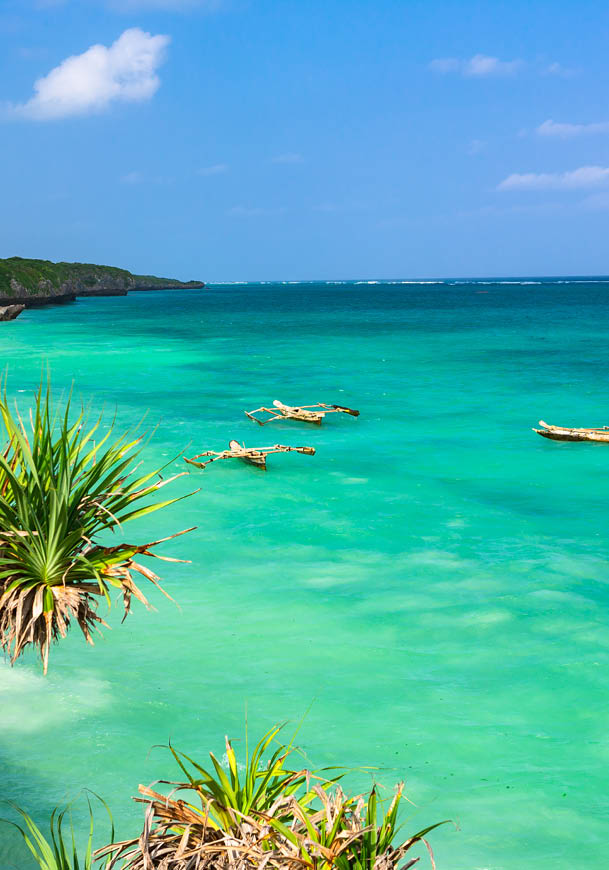 A beautiful blue ocean with palm trees on the shore. Description generated by AI