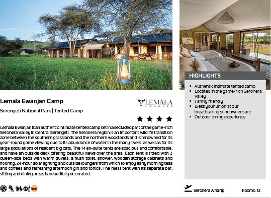 A brochure for a camp with a picture of a tent and a tree. Description generated by AI