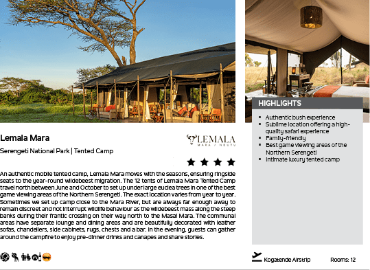 A brochure for a safari lodge with a picture of a tree and a tent. Description generated by AI