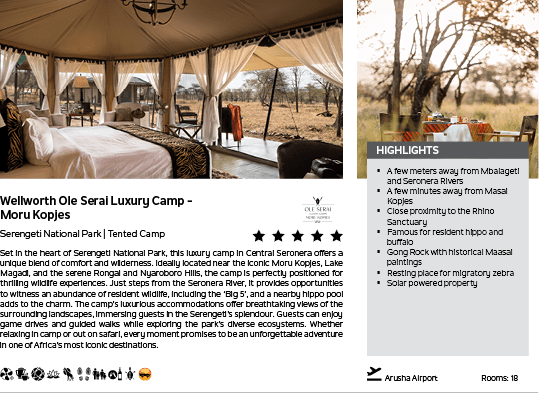 A brochure for a safari camp. Description generated by AI