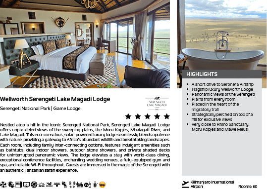 A hotel advertisement for the Wallworth Sargei Lodge. Description generated by AI