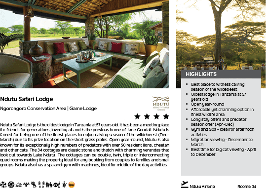 A brochure for a safari lodge with a picture of a tree on it. Description generated by AI