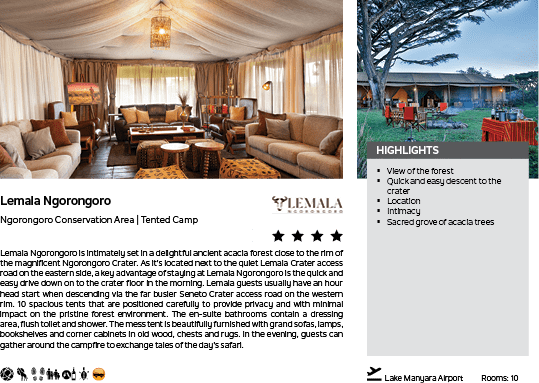 A brochure for a lodge in Africa. Description generated by AI
