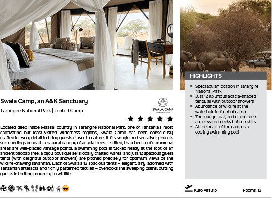 A brochure for a safari camp. Description generated by AI
