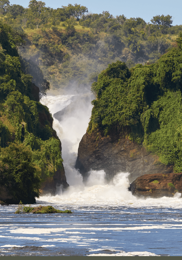 A waterfall is seen in the middle of a forest, surrounded by trees. AI generated content