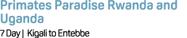 Primates Paradise Rwanda and Uganda 7 Day | Kigali to Entebbe