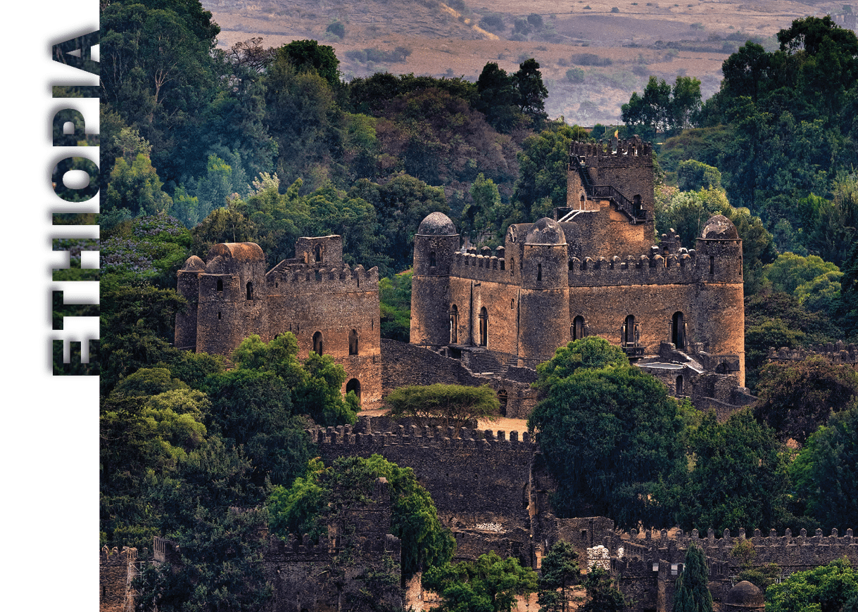 A large castle with a tall tower and a green forest in the background. Description generated by AI
