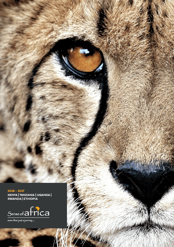 A close up of a lion's face with yellow text. Description generated by AI