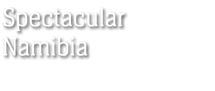 Spectacular Namibia