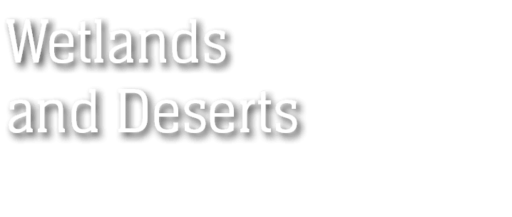 Wetlands and Deserts