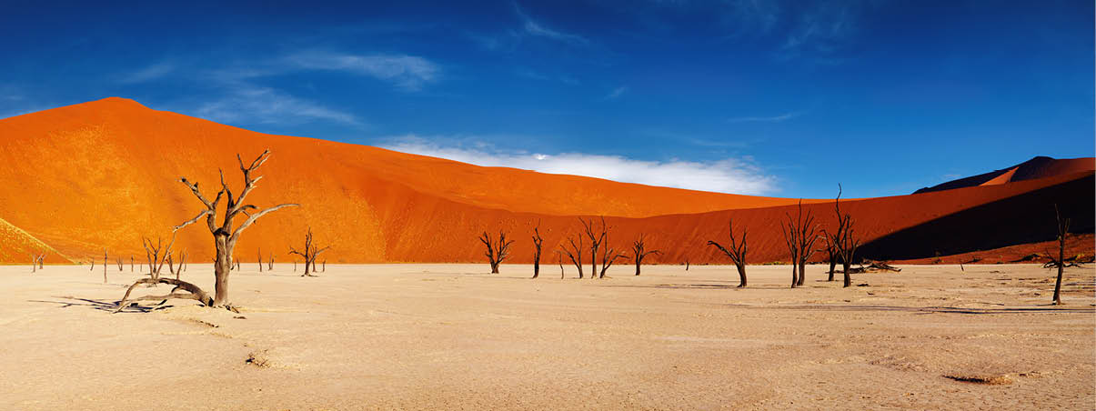 Dead tree in Dead Vlei, Sossusvlei, Namib Desert, Namibia