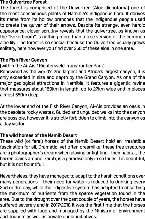 The Quivertree Forest The forest is comprised of the Quivertree (Aloe dichotoma) one of the most conspicuous plants o...