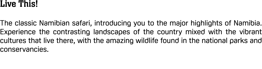 Live This! The classic Namibian safari, introducing you to the major highlights of Namibia. Experience the contrastin...