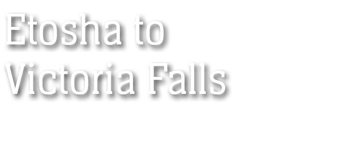 Etosha to Victoria Falls