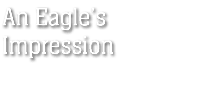 An Eagle’s Impression