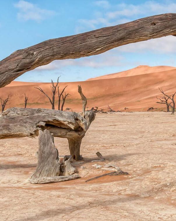Dead tree stumps, with a sand dune backdrop, at Deadvlei