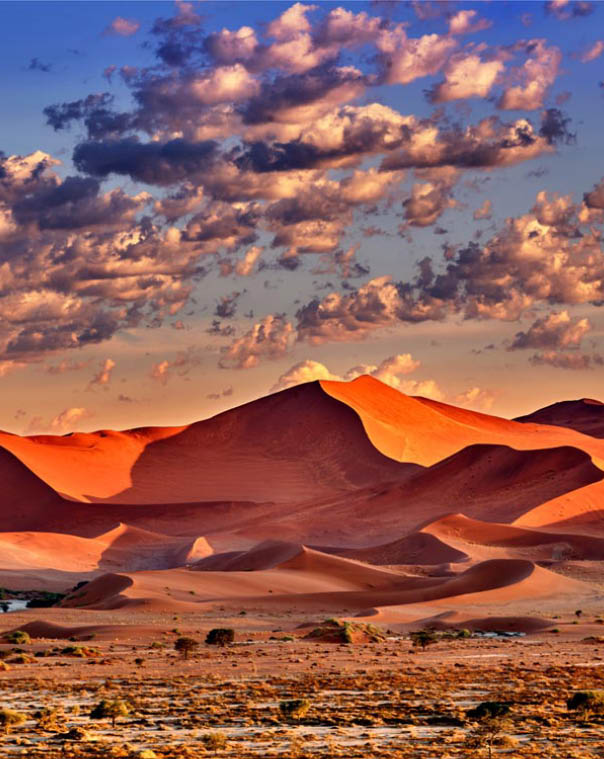 desert of namib with orange sand dunes.