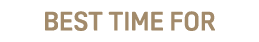Best time for