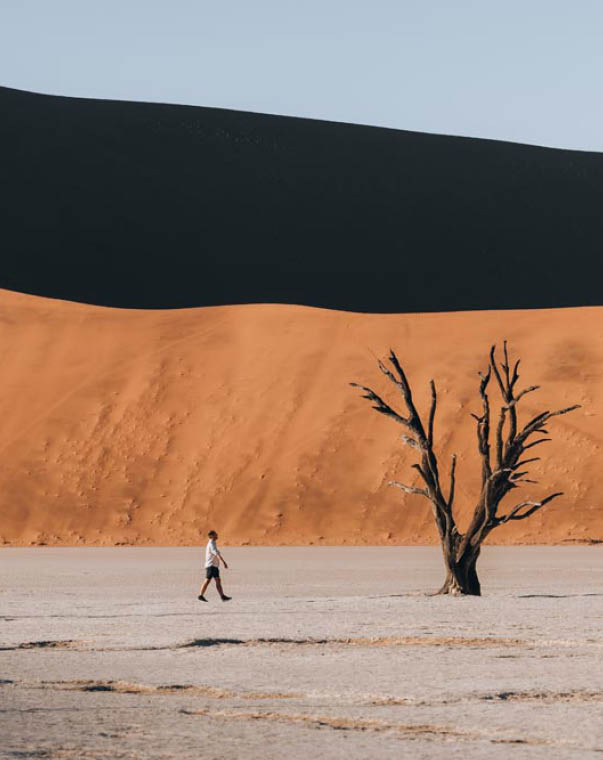 Photo of old trees in the stunning and beautiful Deadvlei, Sossusvlei, Namibia. High quality photo