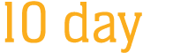 10 day