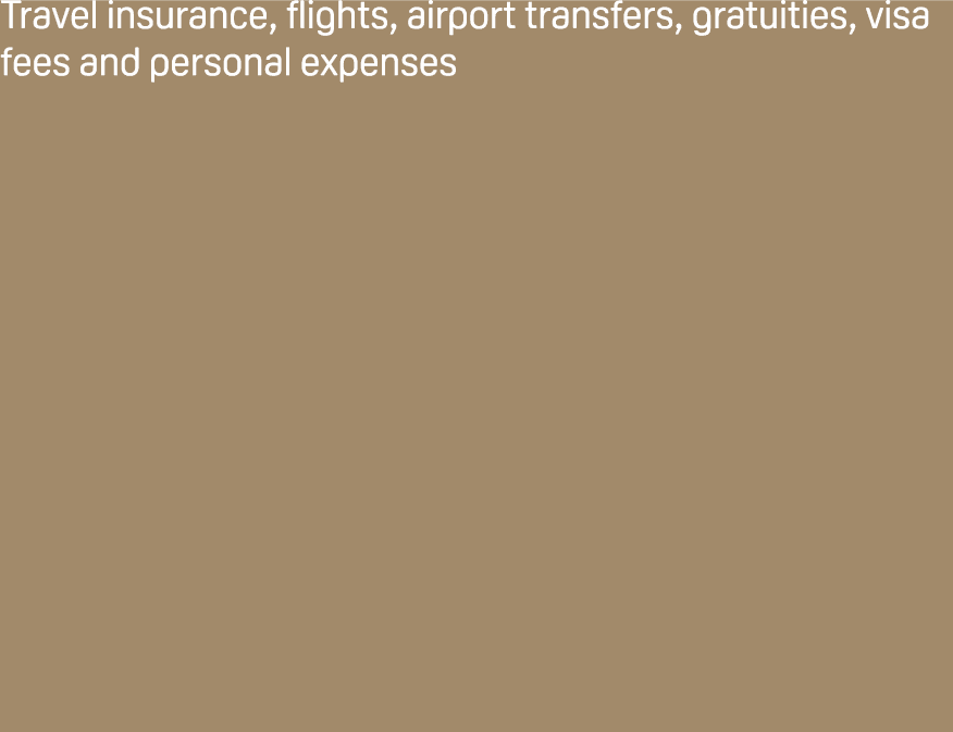 Travel insurance, flights, airport transfers, gratuities, visa fees and personal expenses