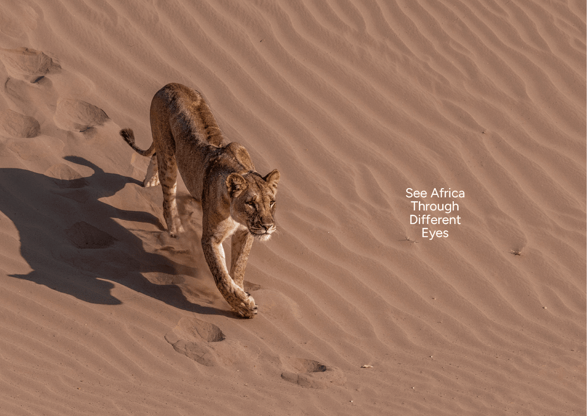 A lion is walking across a sandy terrain. AI generated content
