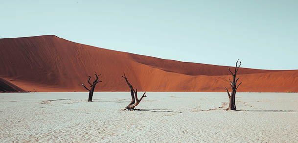 A desert landscape with a sandy surface and a few trees. AI generated content